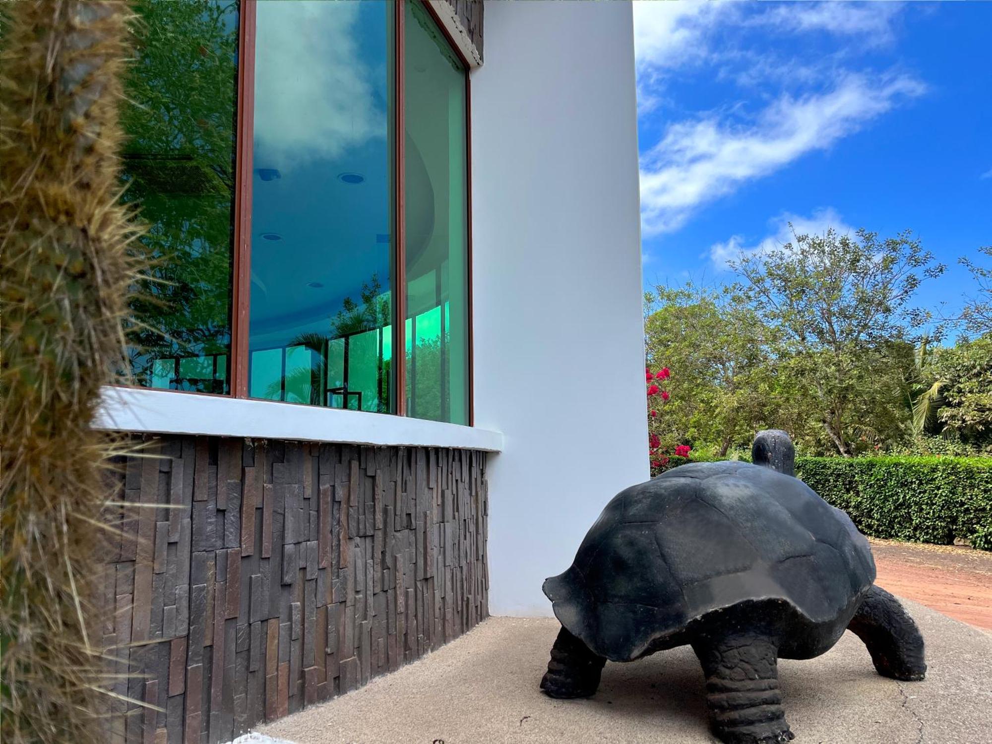 Hotel Tortuga Bay - Galapagos Puerto Ayora  Εξωτερικό φωτογραφία