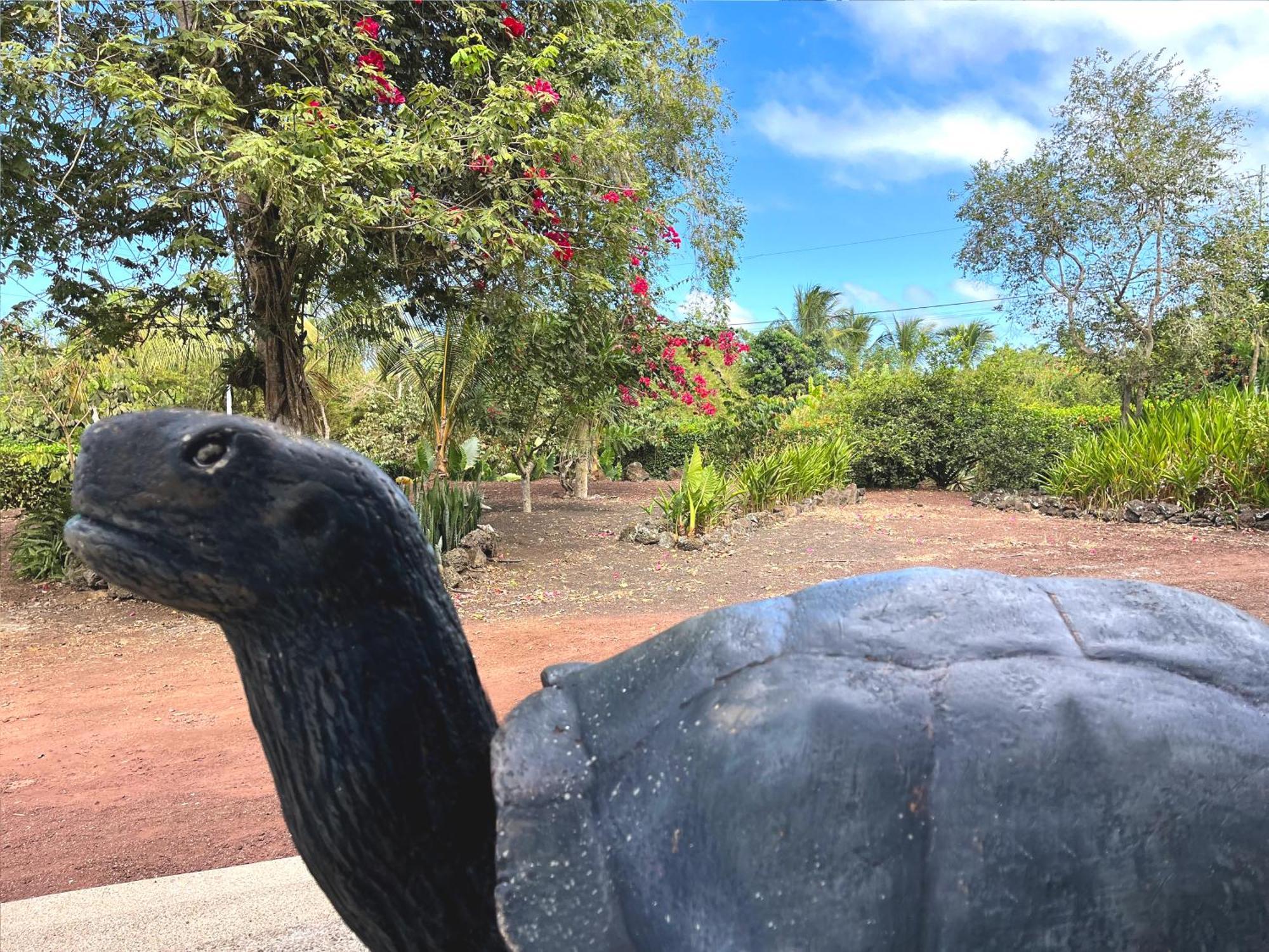 Hotel Tortuga Bay - Galapagos Puerto Ayora  Εξωτερικό φωτογραφία